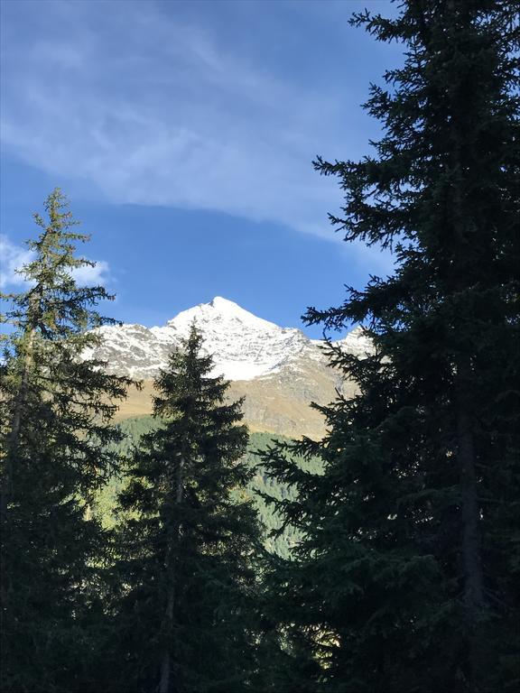 فيلا Agriturismo Malga Dell'Alpe فالفورفا المظهر الخارجي الصورة